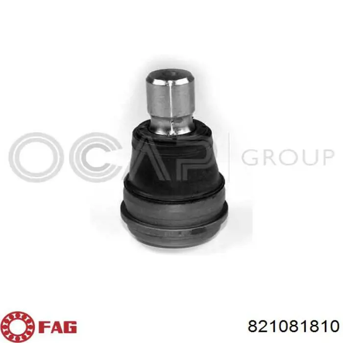 Brazo inferior izquierdo de la suspensión delantera 821081810 FAG