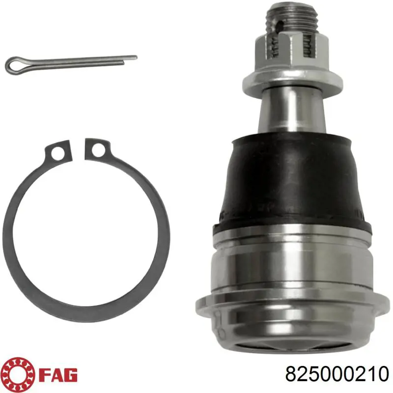 Rótula inferior de suspensión FAG 825000210 precio, desde 31,38 EUR