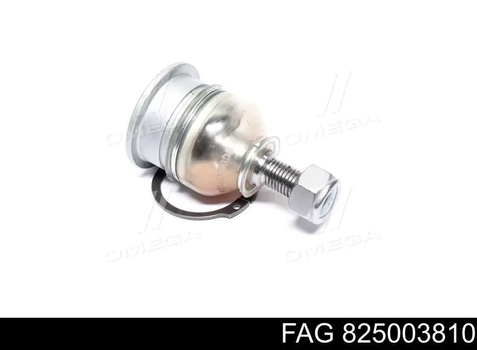 Rótula superior de suspensión trasera FAG 825003810 precio, desde 14,44 EUR
