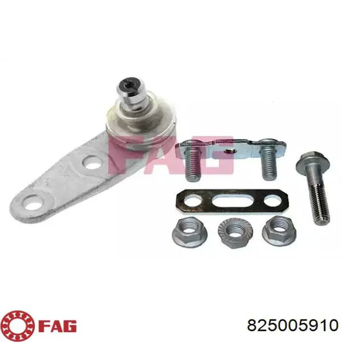 Rótula inferior de suspensión FAG 825005910