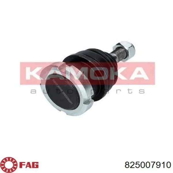 Rótula inferior de suspensión FAG 825007910 precio, desde 50,58 EUR