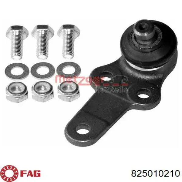 Comprar 825010210 FAG Rótula inferior de suspensión
