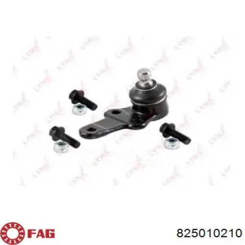 Rótula inferior de suspensión FAG 825010210