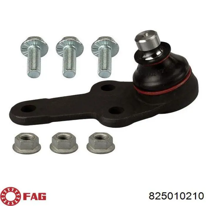 Rótula inferior de suspensión FAG 825010210 precio, desde 32,30 EUR