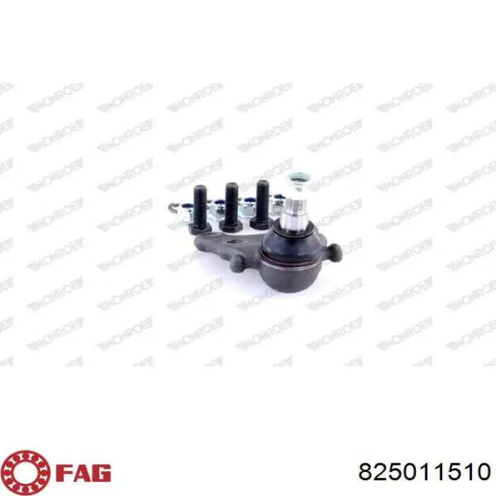 Rótula inferior de suspensión FAG 825011510 precio, desde 49,06 EUR