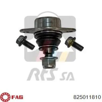 Rótula inferior de suspensión FAG 825011810 precio, desde 44,51 EUR