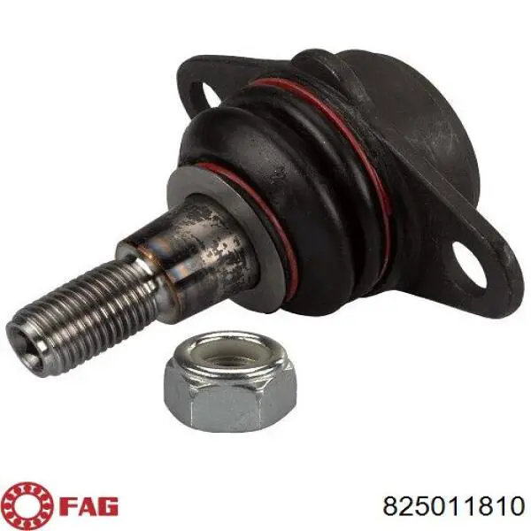 Comprar 825011810 FAG Rótula inferior de suspensión