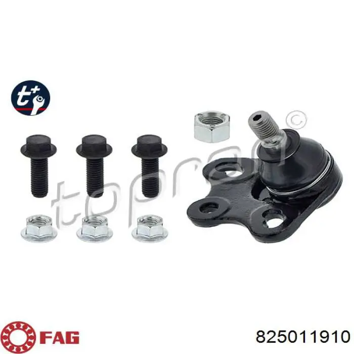 Rótula inferior de suspensión FAG 825011910 precio, desde 37,08 EUR