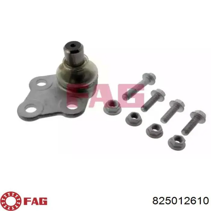 Comprar 825012610 FAG Rótula inferior de suspensión
