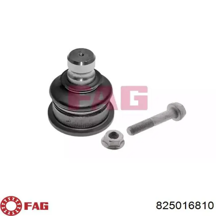 Rótula inferior de suspensión FAG 825016810 precio, desde 24,25 EUR
