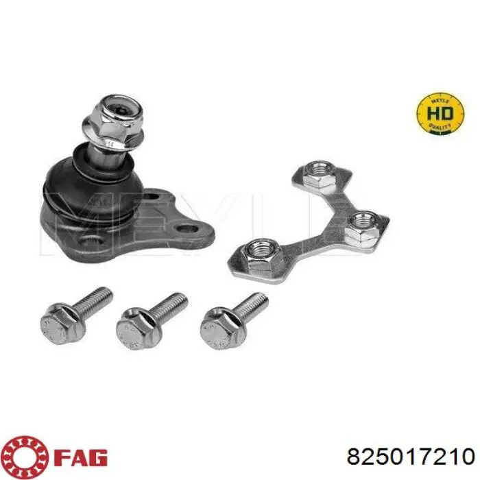 Rótula de suspensión inferior izquierda FAG 825017210 precio, desde 21,42 EUR