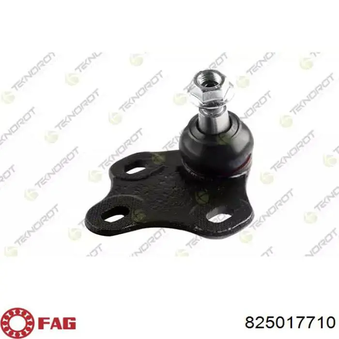 Rótula inferior de suspensión FAG 825017710 precio, desde 40,37 EUR