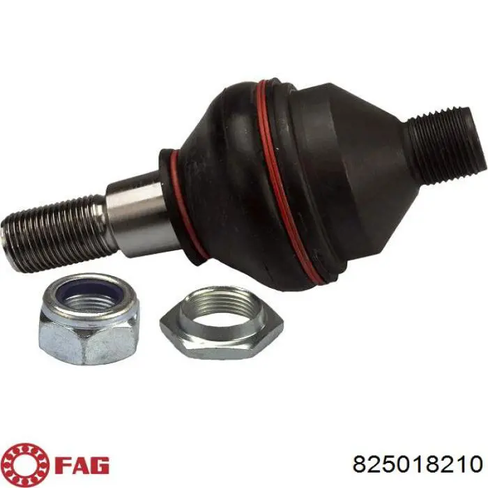 Rótula inferior de suspensión FAG 825018210 precio, desde 35,86 EUR