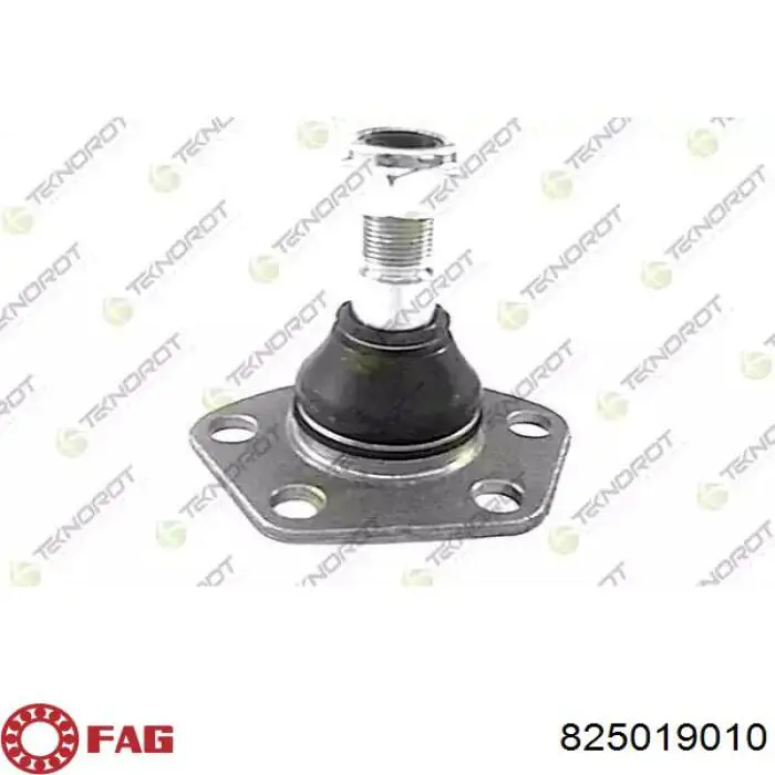Rótula inferior de suspensión FAG 825019010 precio, desde 26,77 EUR