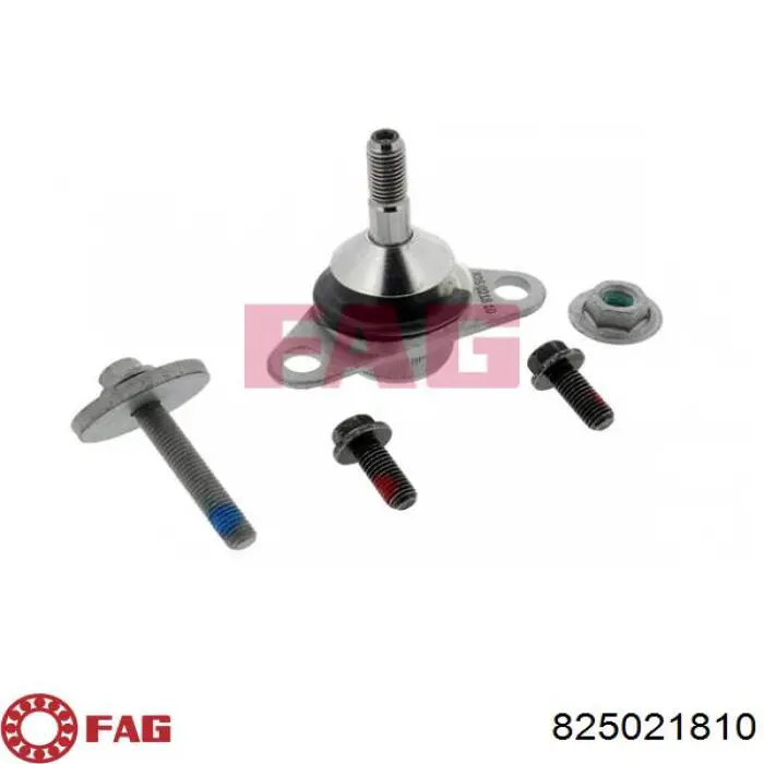 Rótula inferior de suspensión FAG 825021810 precio, desde 45,48 EUR