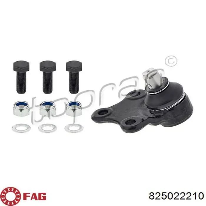 Rótula inferior de suspensión FAG 825022210