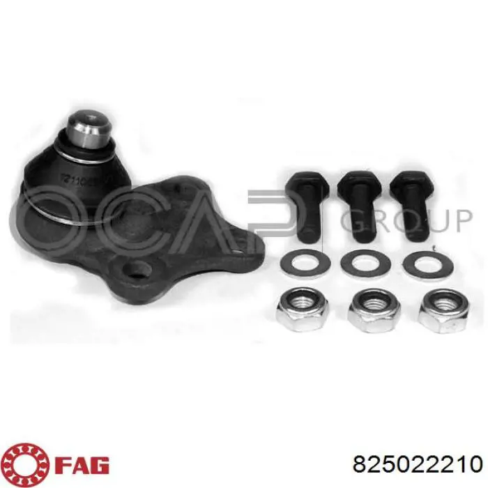 Comprar 825022210 FAG Rótula inferior de suspensión