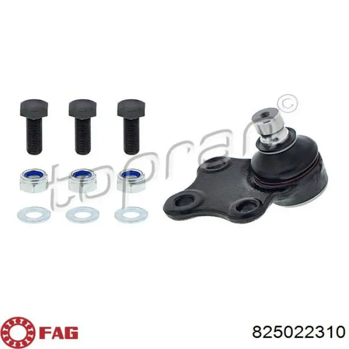 Rótula inferior de suspensión FAG 825022310 precio, desde 15,25 EUR