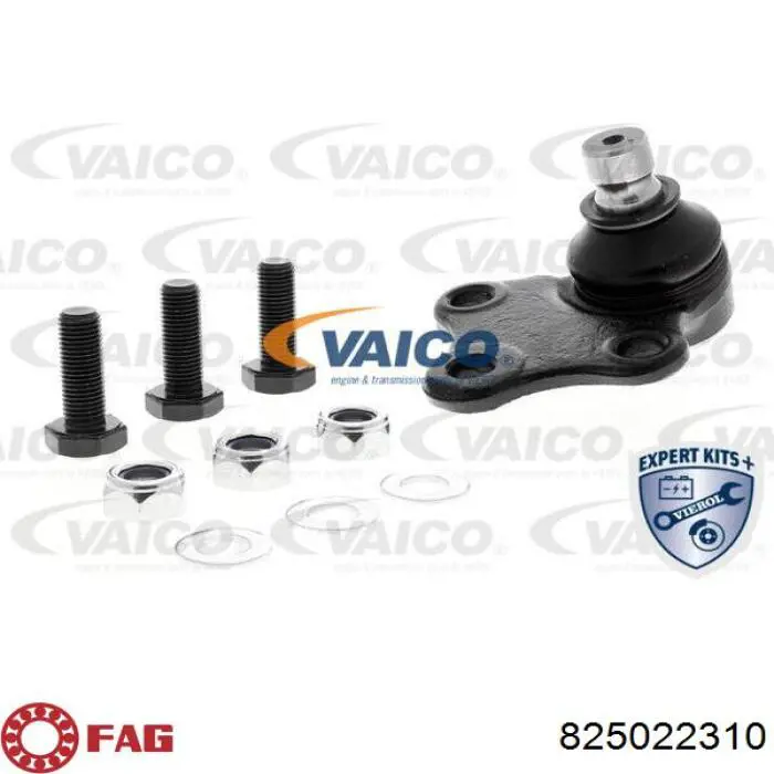 Comprar 825022310 FAG Rótula inferior de suspensión