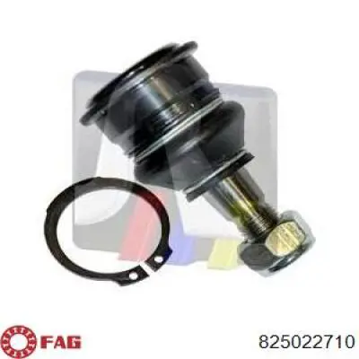 Rótula inferior de suspensión FAG 825022710 precio, desde 21,15 EUR