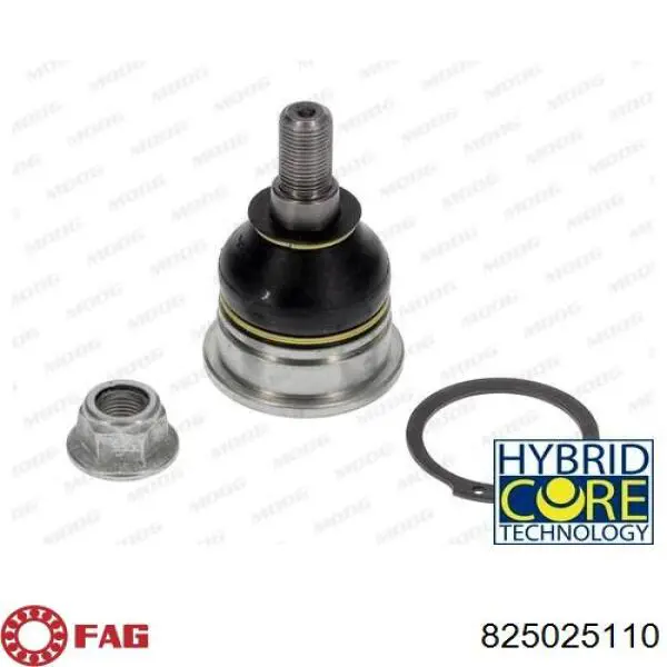 Rótula inferior de suspensión FAG 825025110 precio, desde 19,70 EUR