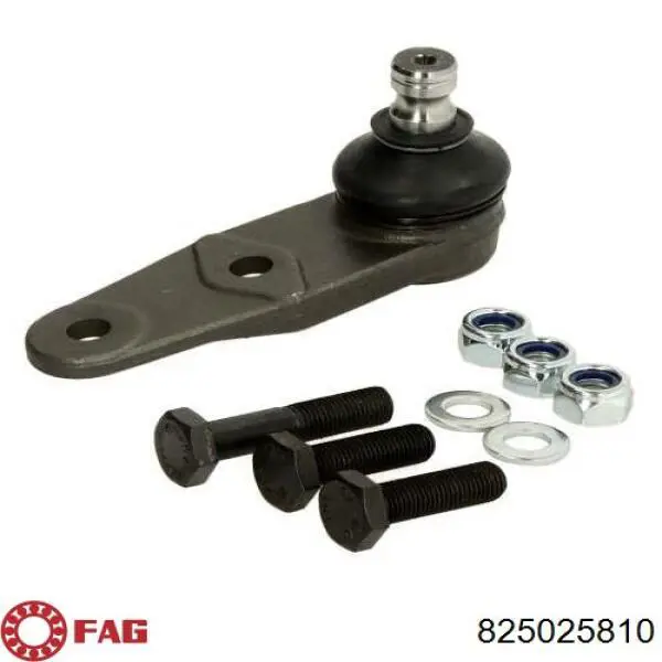 Rótula inferior de suspensión FAG 825025810