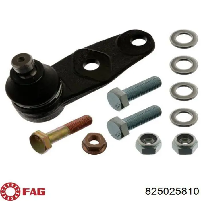 Rótula inferior de suspensión FAG 825025810 precio, desde 23,55 EUR