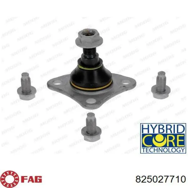 Rótula inferior de suspensión FAG 825027710 precio, desde 38,52 EUR