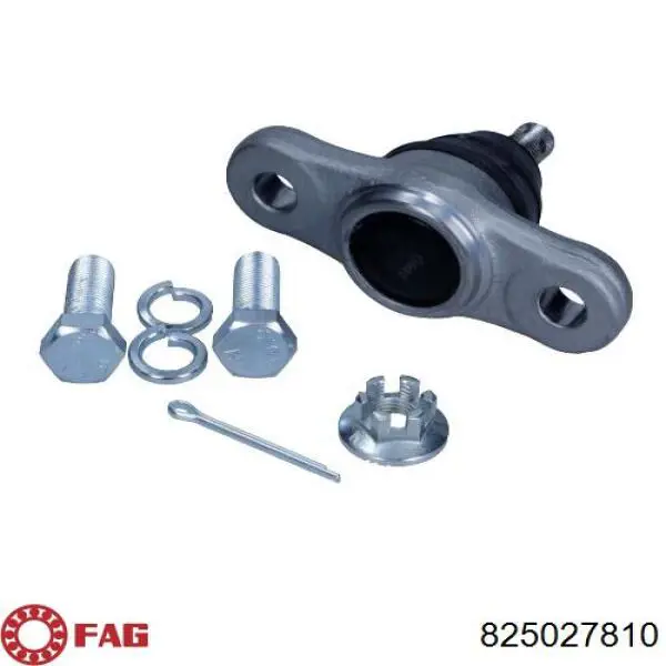 Comprar 825027810 FAG Rótula inferior de suspensión