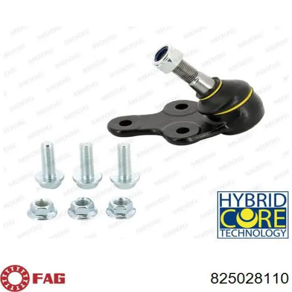 Rótula inferior de suspensión FAG 825028110 precio, desde 36,90 EUR