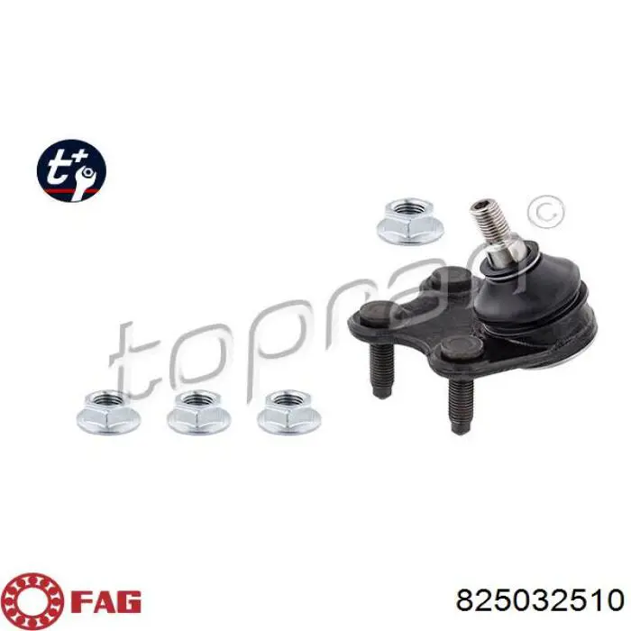 Comprar 825032510 FAG Rótula de suspensión inferior derecha