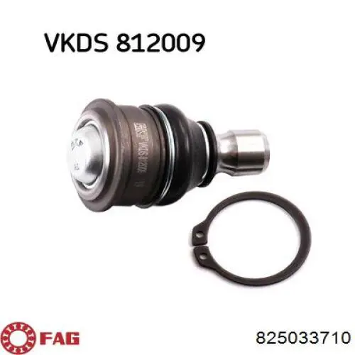 Rótula inferior de suspensión FAG 825033710 precio, desde 37,52 EUR