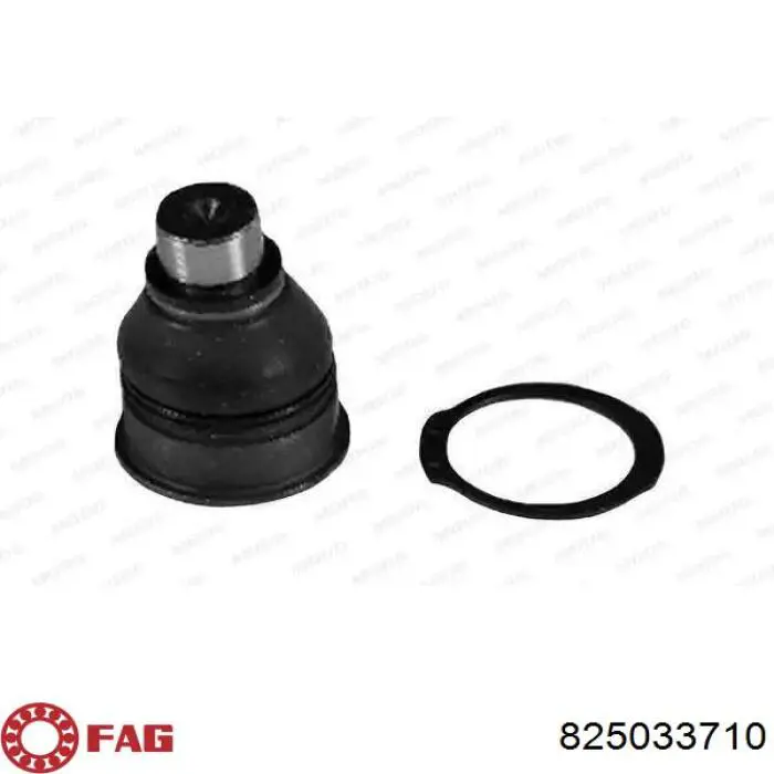 825033710 FAG Rótula inferior de suspensión