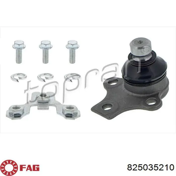Rótula inferior de suspensión FAG 825035210 precio, desde 19,59 EUR