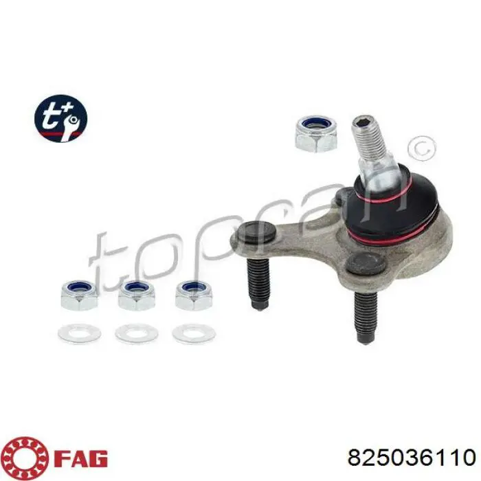 Rótula de suspensión inferior derecha FAG 825036110 precio, desde 35,56 EUR