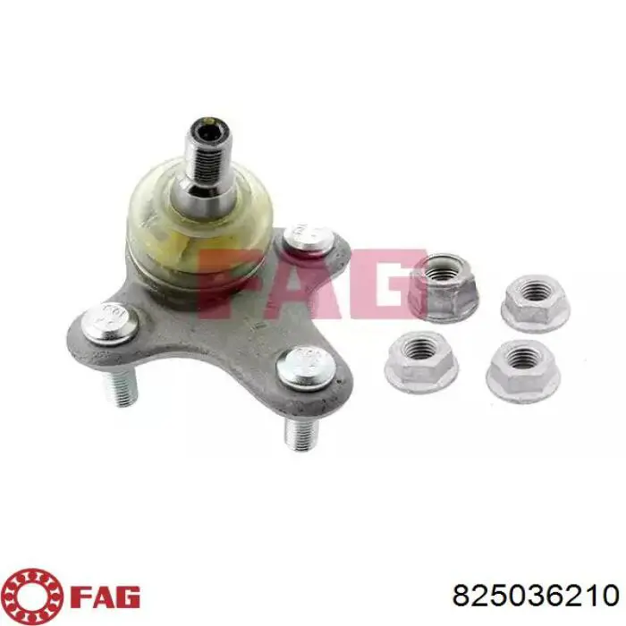 Comprar 825036210 FAG Rótula de suspensión inferior izquierda