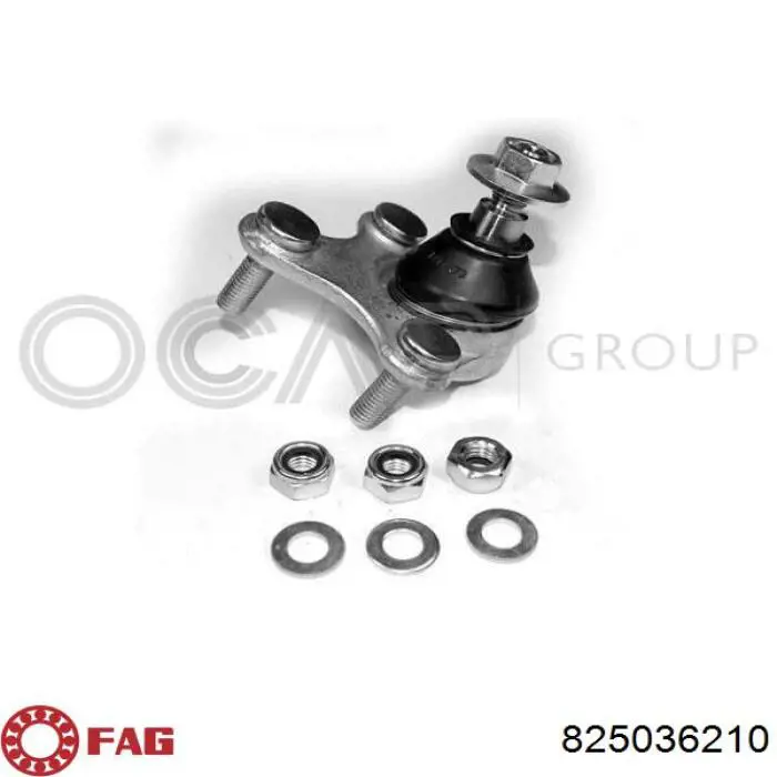 Rótula de suspensión inferior izquierda FAG 825036210 precio, desde 35,56 EUR