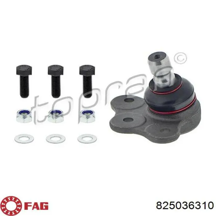 Comprar 825036310 FAG Rótula inferior de suspensión