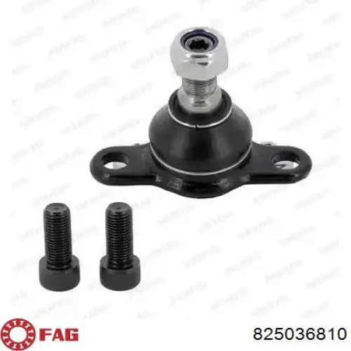 Rótula inferior de suspensión FAG 825036810 precio, desde 14,39 EUR