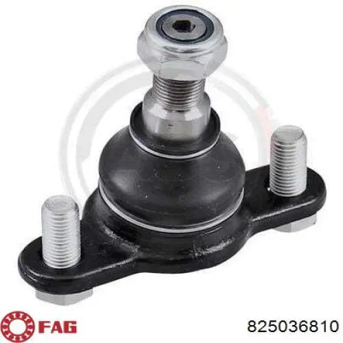 Comprar 825036810 FAG Rótula inferior de suspensión
