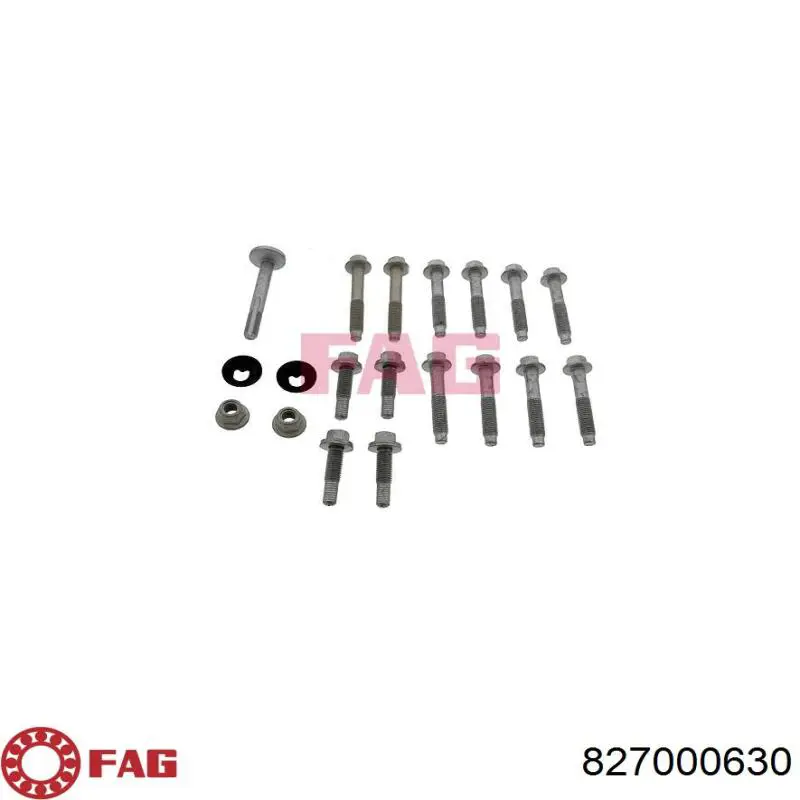 Juego de tornillos de suspensión trasera FAG 827000630 precio, desde 38,64 EUR