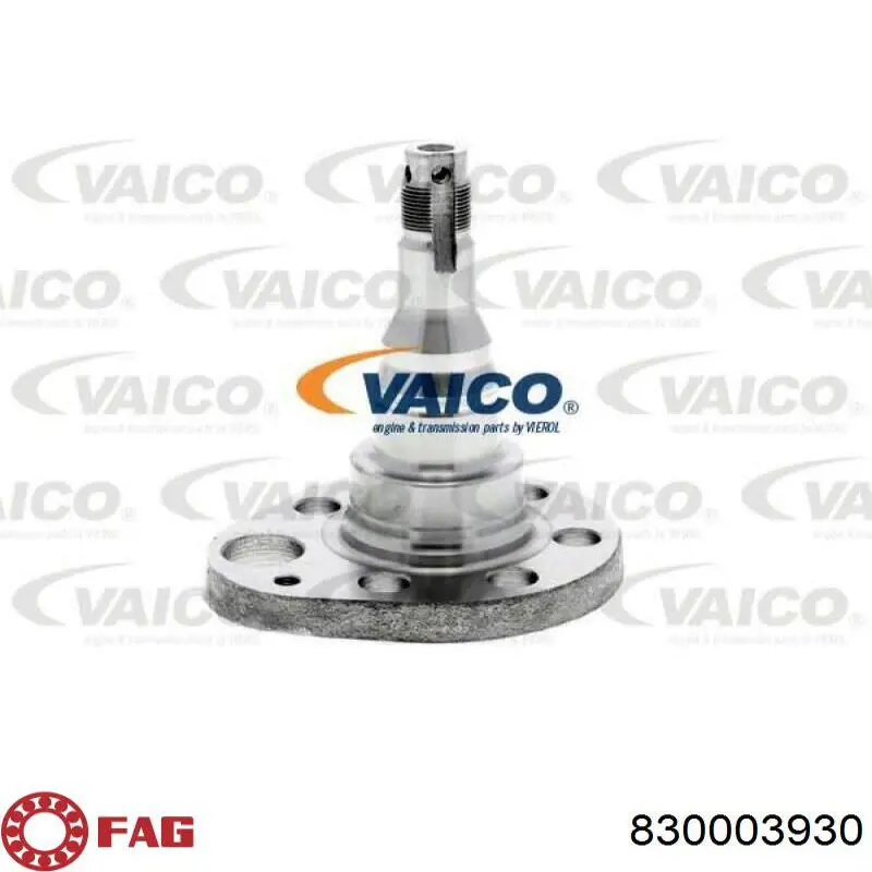 Comprar G2229666 Expert Line Mangueta trasera