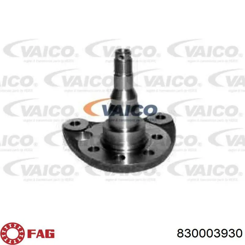 Comprar 830003930 FAG Mangueta trasera