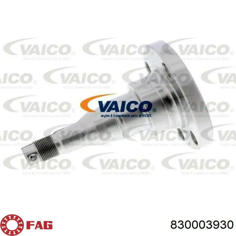 Mangueta trasera FAG 830003930 precio, desde 47,11 EUR