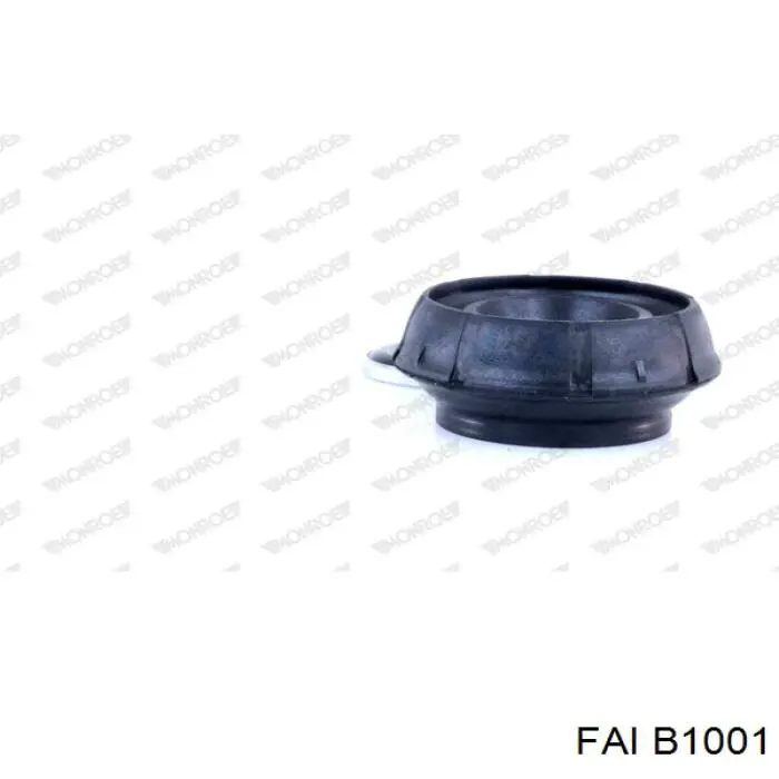 B1001 FAI