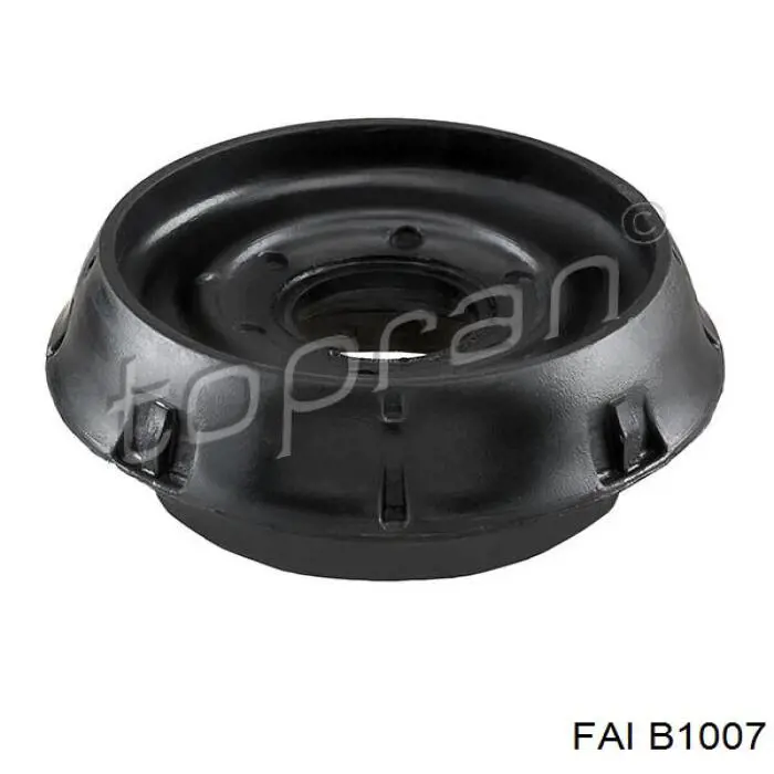 B1007 FAI