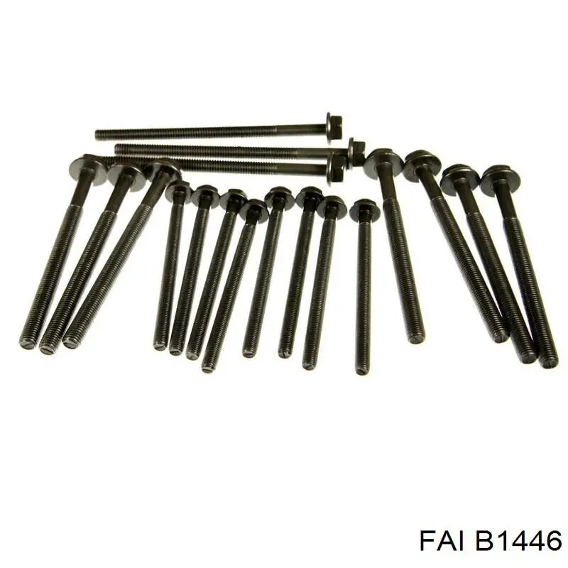 B1446 FAI