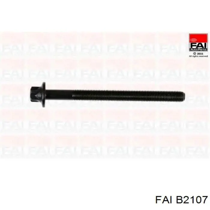 B2107 FAI tornillo de culata