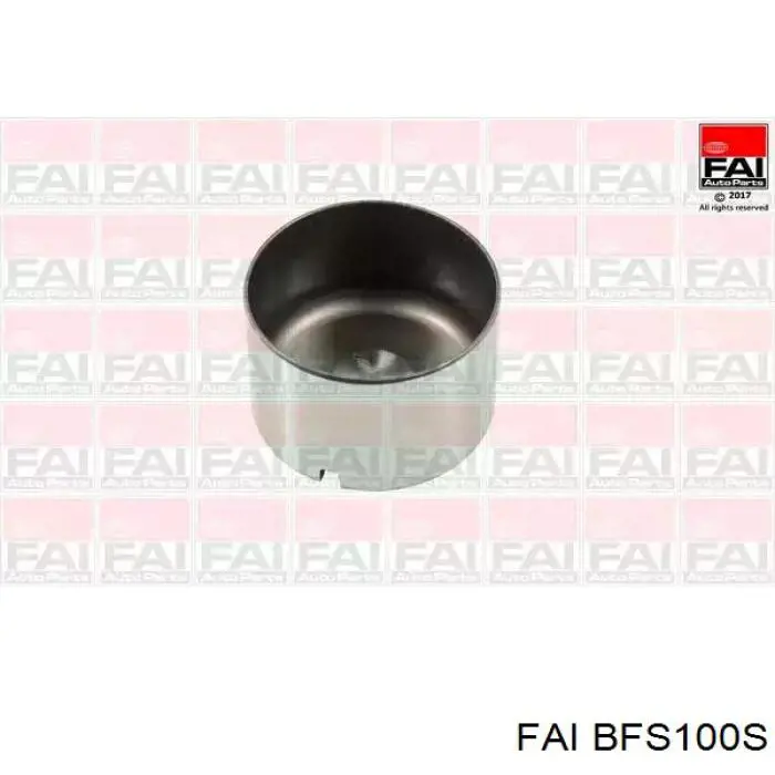 Taqués hidráulicos FAI BFS100S precio, desde 5,62 EUR