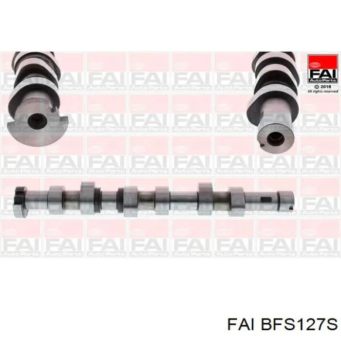 Comprar Taqués hidráulicos Iveco Daily VI 
